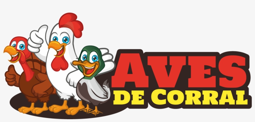¡bienvenido A Avesdecorral - Poultry, transparent png