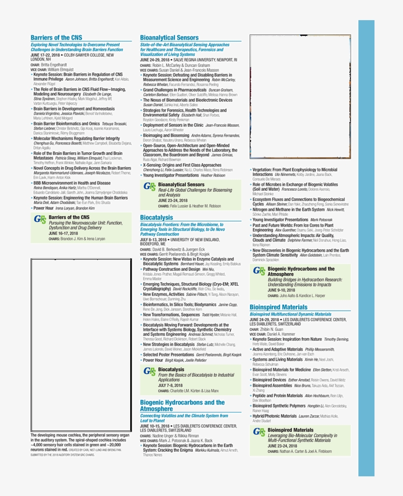 Brochure, transparent png