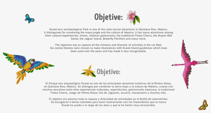 Xcaret Fleet Car - Insect, transparent png