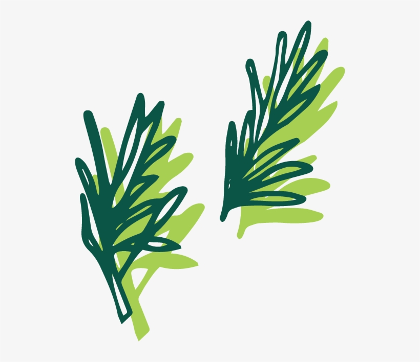 Rosemary - Portable Network Graphics, transparent png