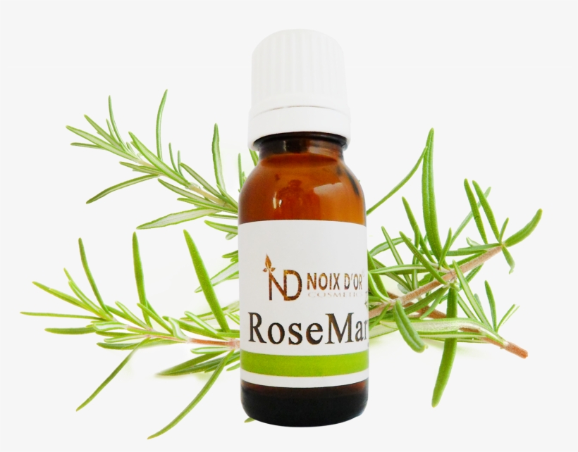 Ess-oil Rosemary - Harrybaba Rosemary Oil 15 Ml, transparent png