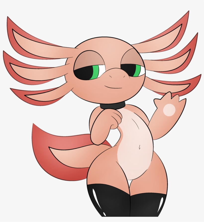 Author Comments - Axolotl, transparent png