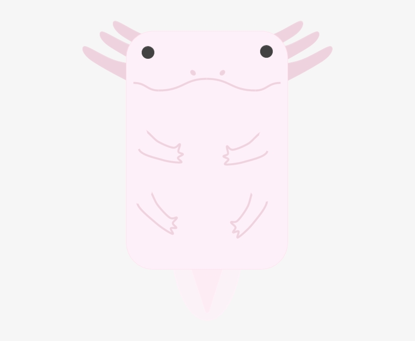 Animalaxolotl - Name, transparent png