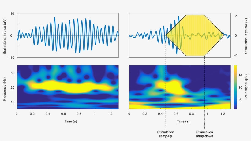 Brown Group - Beta, transparent png
