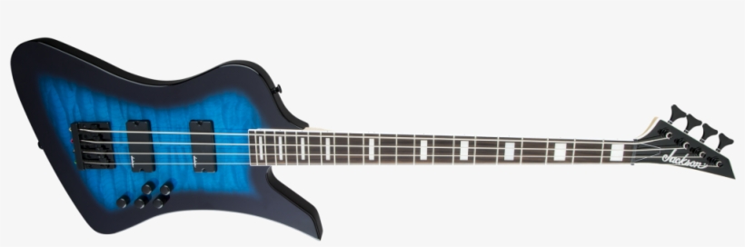 Loading Images - Jackson Kelly Bird, transparent png