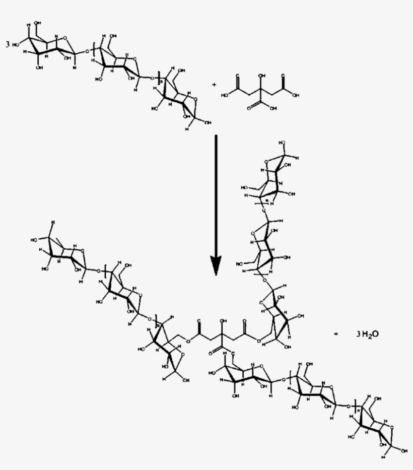 One Possible Polycondensation Reaction Between Maltodextrin - Condensation Reaction, transparent png