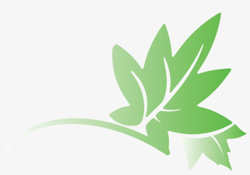 Png File Transparent Gradient Leaf Logo W/out Text - Jpeg, transparent png