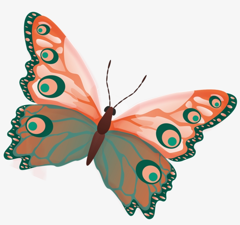 Butterfly Png Image Free Picture Download Pngimgcom - Silhouette Of Butterfly, transparent png