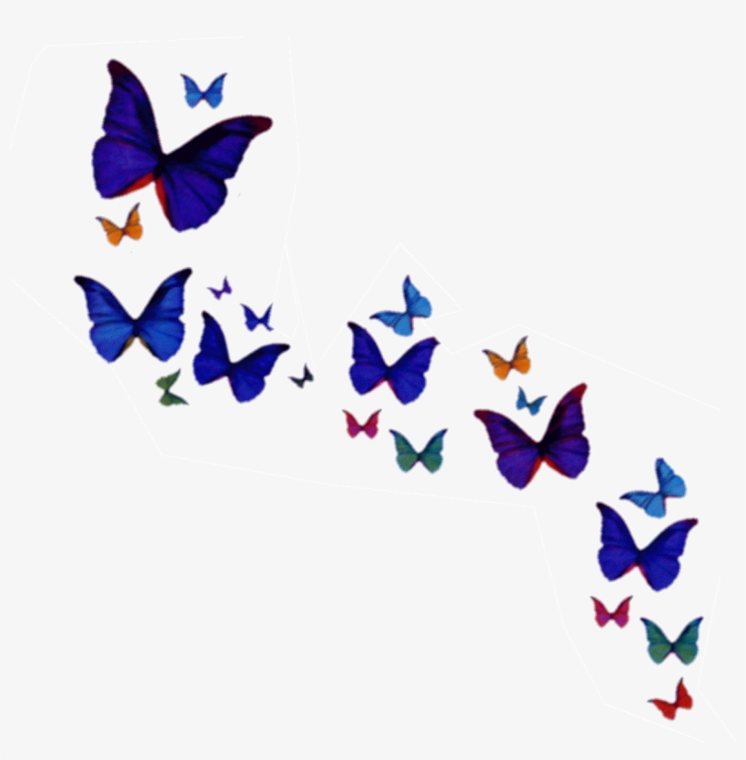 Kelebek Png Resim Yükle, Kelebek Png Resim İndir, Butterfly - Envolée Papillon Multicolore, transparent png