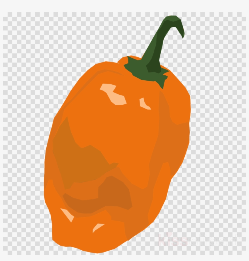 Download Habanero Pepper Png Clipart Chili Pepper Bell - Orange Ball Transparent Background, transparent png
