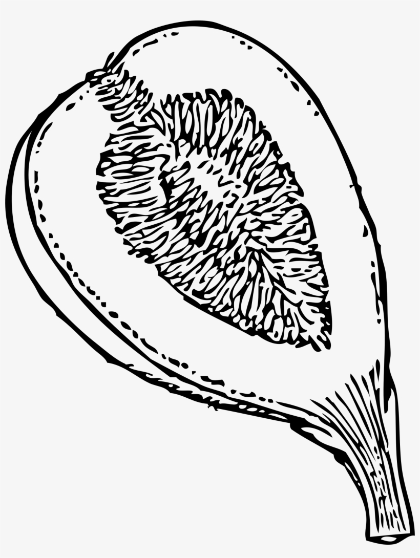 This Free Icons Png Design Of Fig In Section 1, transparent png