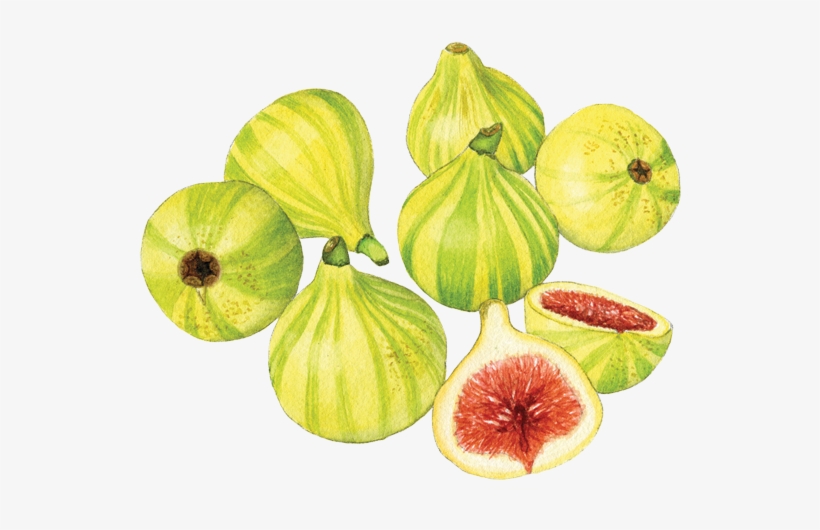 Candy Stripe Figs - Common Fig, transparent png