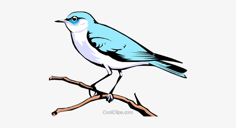 Mountain Bluebird Royalty Free Vector Clip Art Illustration - Illustration, transparent png