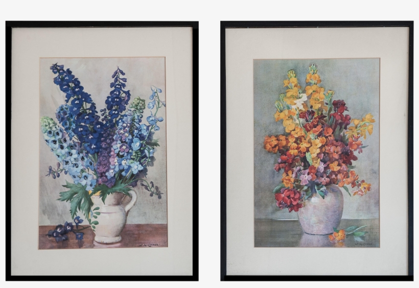 Delphinium Drawing Painting, transparent png