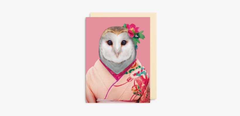 Barn Owl - Tyto Alba - Zoo Portraits, transparent png