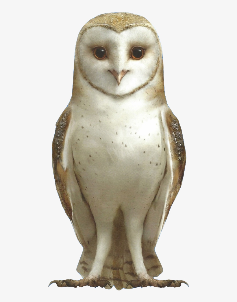 Soren - Soren Ga Hoole, transparent png