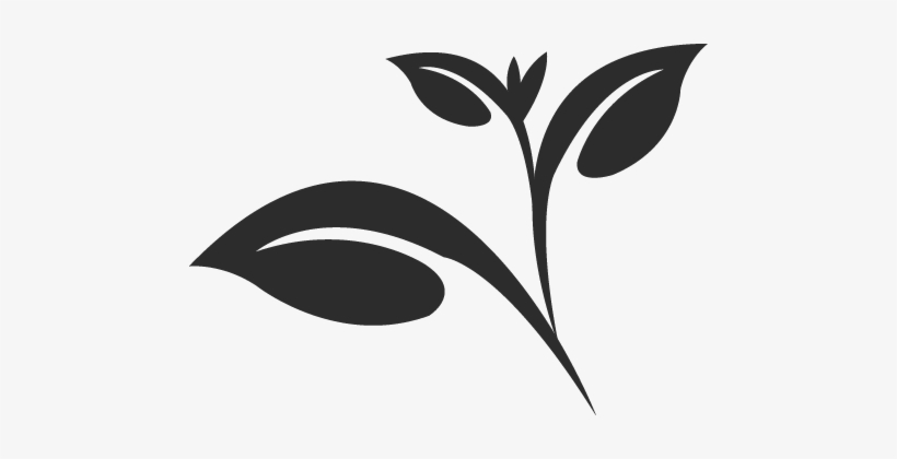 Banner Free Stock Collection Of Png High Quality Free - Tea Leaves Clipart Png, transparent png