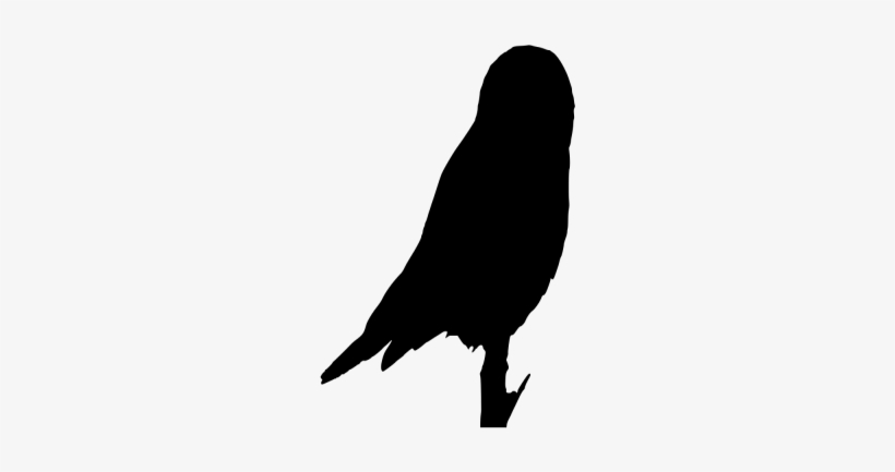 Owls Silhouette - Long Eared Owl Silhouette, transparent png