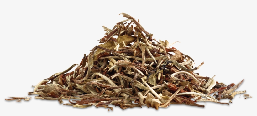 China White, transparent png