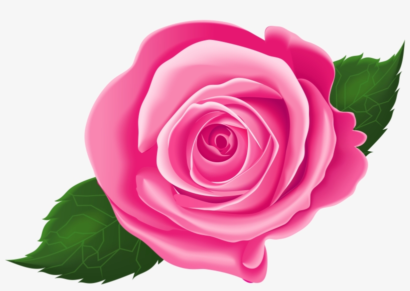 Róża Grafika Z Sercem, transparent png