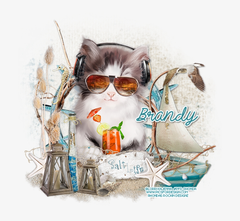 Enjoying The Salt Life - Kitten, transparent png