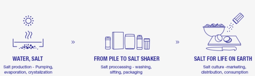 קיימות מהווה חלק מה-dna של מלח הארץ - Life Cycle Of Salt, transparent png