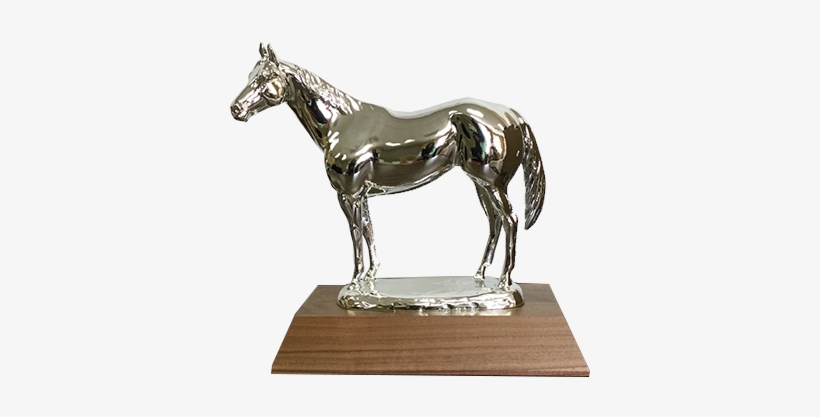 Aqha Level 1 Silver Trophy - Silver, transparent png