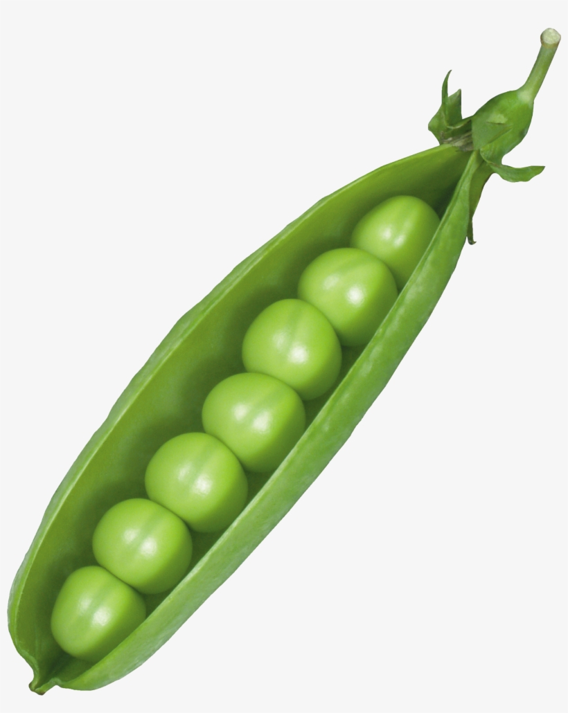 Pea Pod Png, transparent png