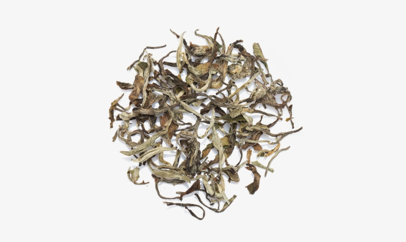 White Tea Leaves Chaisafari - Tea, transparent png