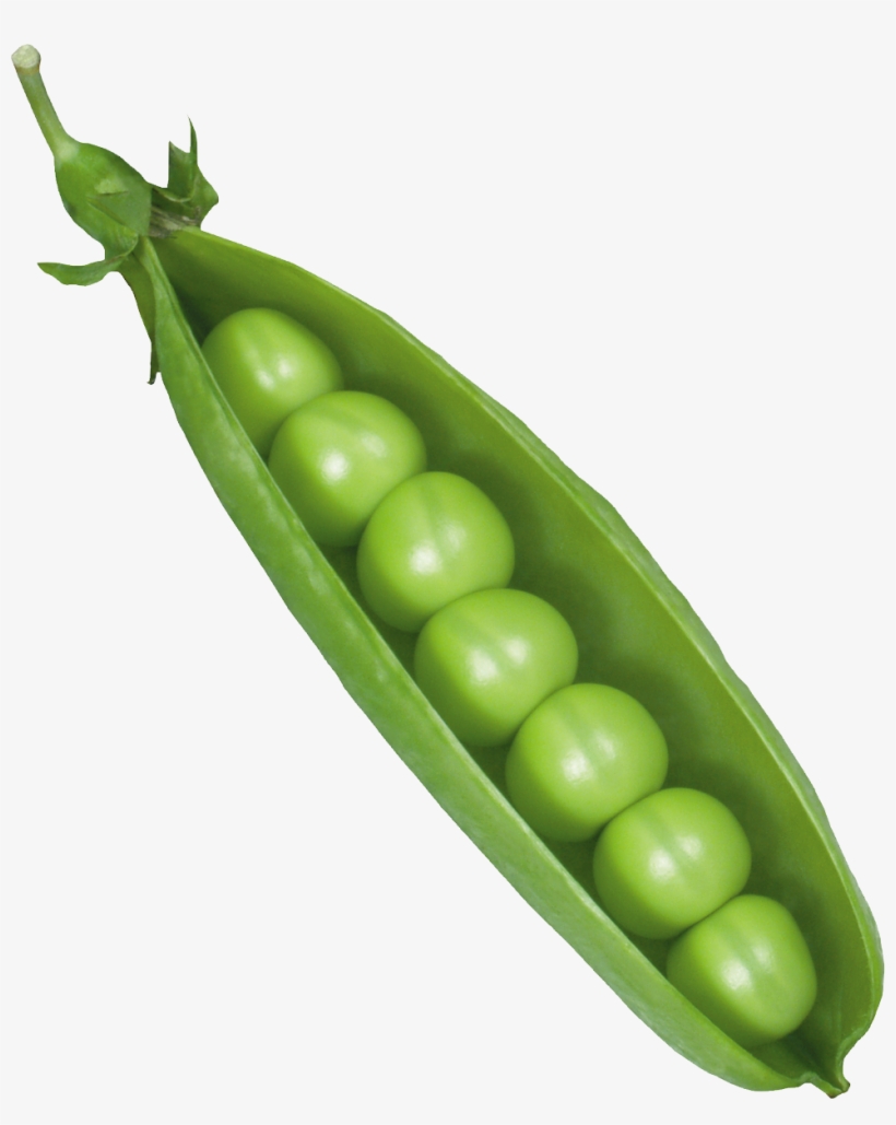 Pea Png, transparent png