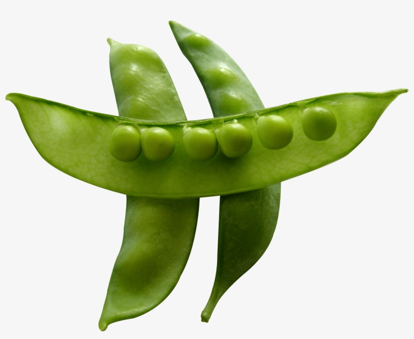 Snow Peas - Snow Peas Png, transparent png