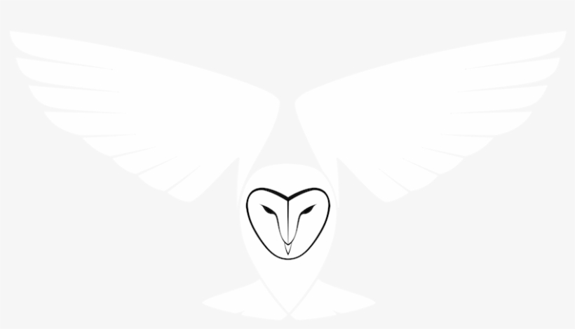 Barn Owl Outdoor - Logotipo De Concierto De Rock, transparent png