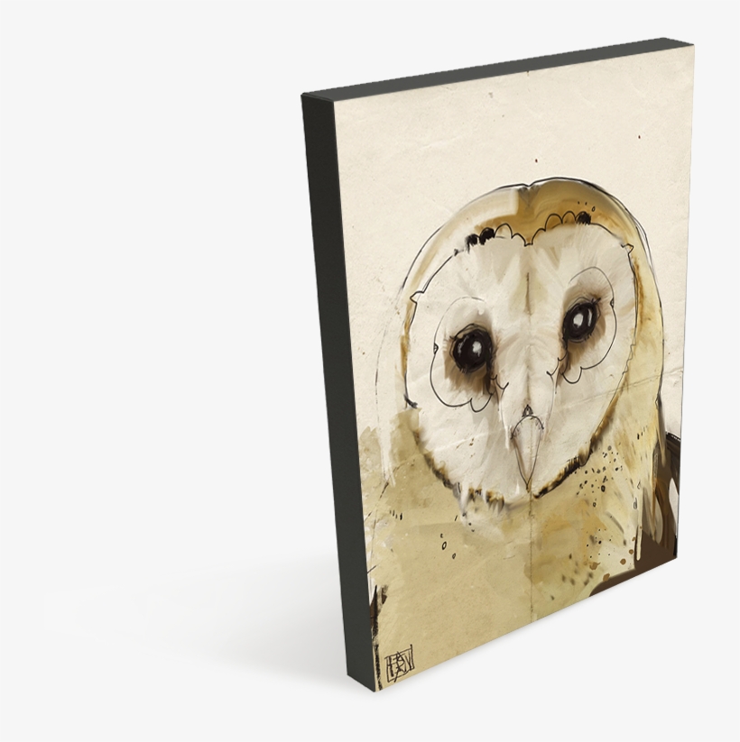 Barn Owl, transparent png