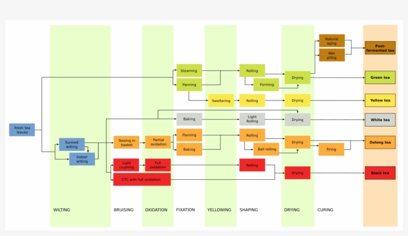 Tea Leaf Processing Methods For The Six Most Common - Tea Processing, transparent png