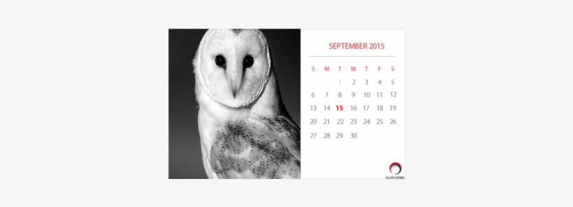 Calvendo Owls (wall Calendar 2018 Din A3 Landscape), transparent png