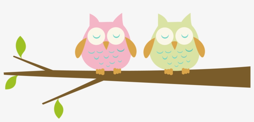 Barn Owl Clipart Branch Clipart Free - Baby Owls Clip Art, transparent png