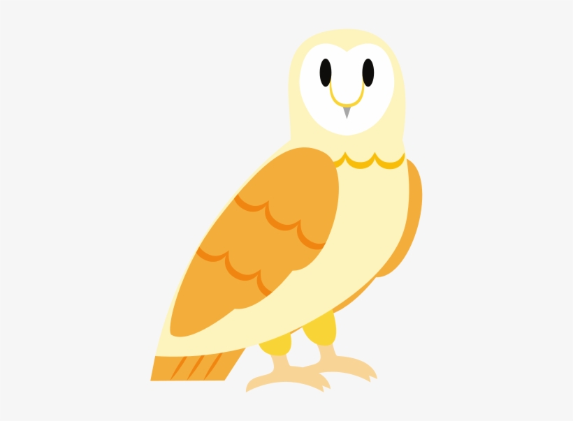 Cartoon Barn Owl - Barn Owl, transparent png