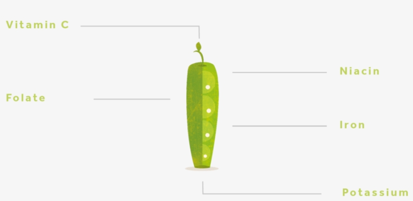 Pea-01 - Snap Pea, transparent png