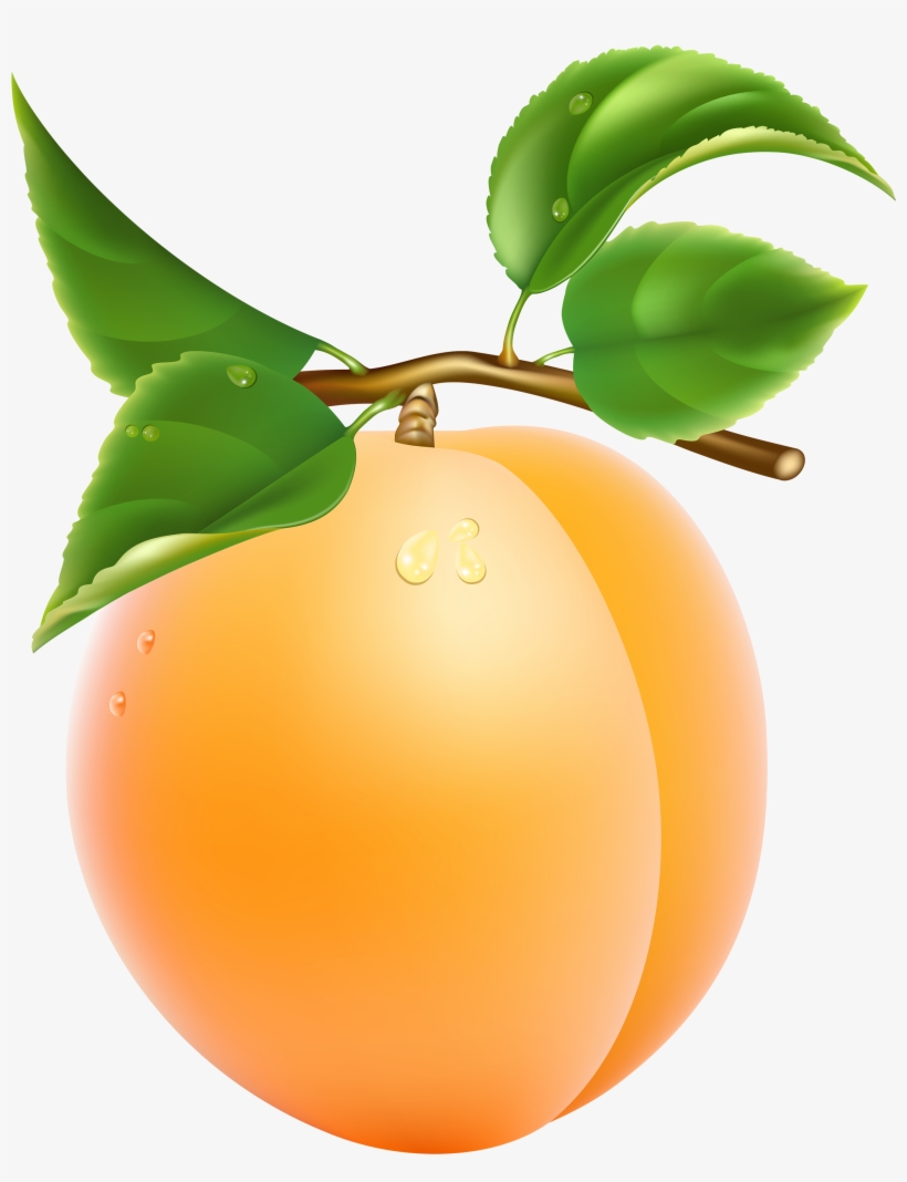 Sony Playstation Transparent Png Sticker - 3126x3541 PNG Download - PNGkit