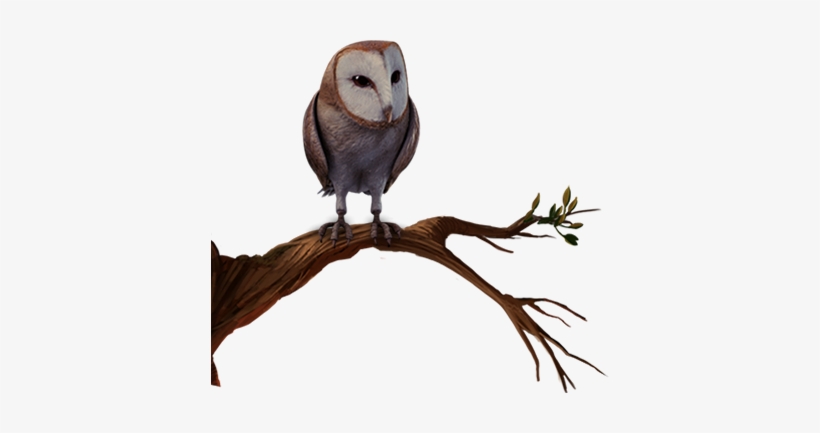 Jpg Transparent Library Transparent Owl Pottermore - Owl Pottermore Png, transparent png