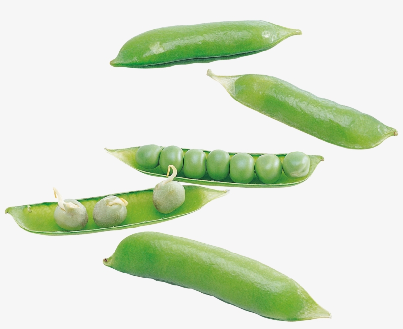 Green Pea, transparent png