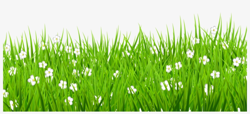 Png Stock Grass Background Clipart - Grass With Flowers Transparent, transparent png