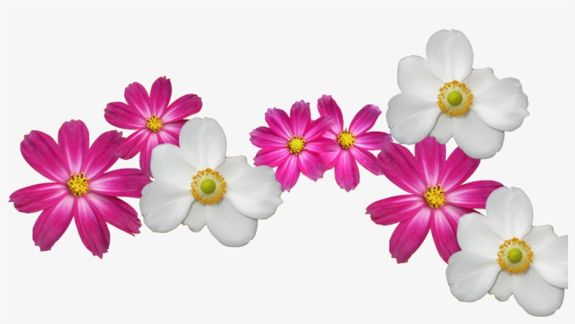 Transparent Flower Crown Png - Pearl Farm Food Menu, transparent png