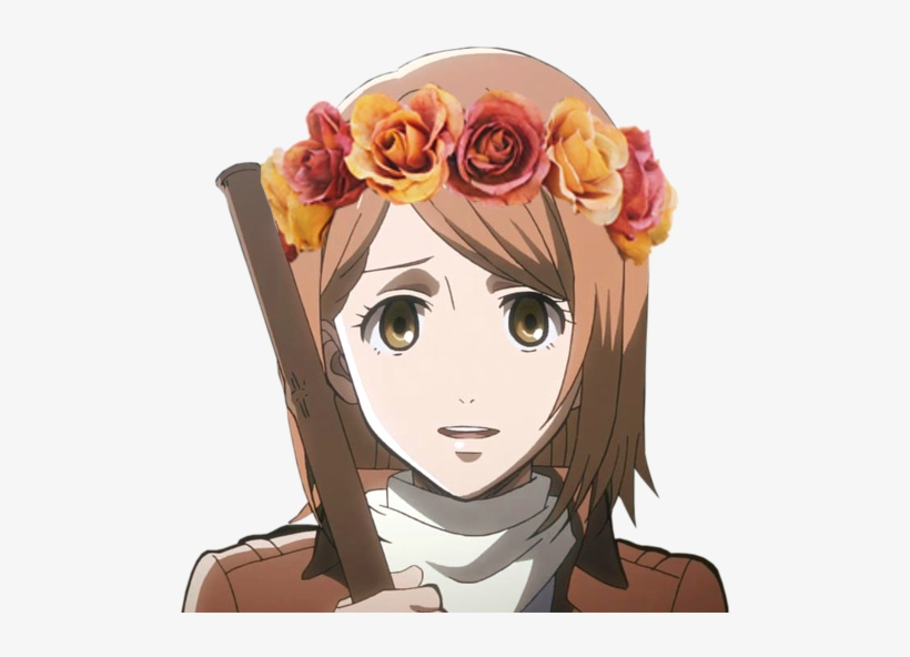 Levi And Petra, transparent png