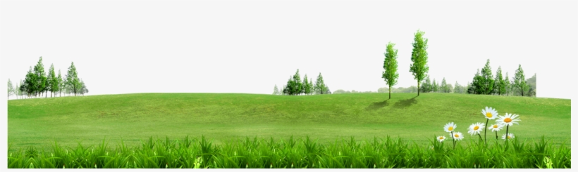 Fundal Information - Green Grass Background Png, transparent png
