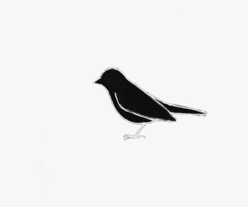 Salute Logo - Old World Flycatcher, transparent png