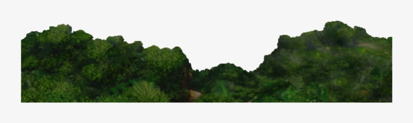 Rainforest Background - Grass, transparent png