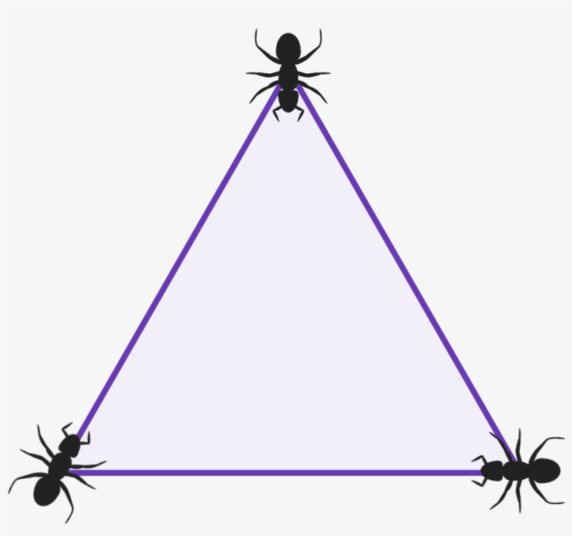 Diagram Of A Triangle With 3 Ants Sat One At Each Vertex - Triangle, transparent png