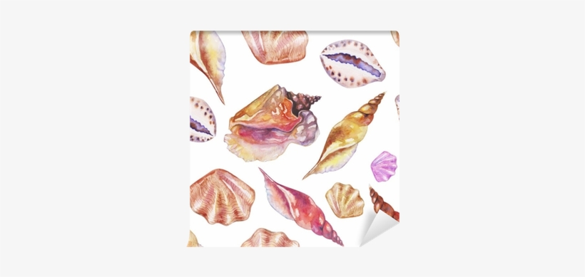 Shells On The Bottom Of The Sea - Watercolor Painting, transparent png