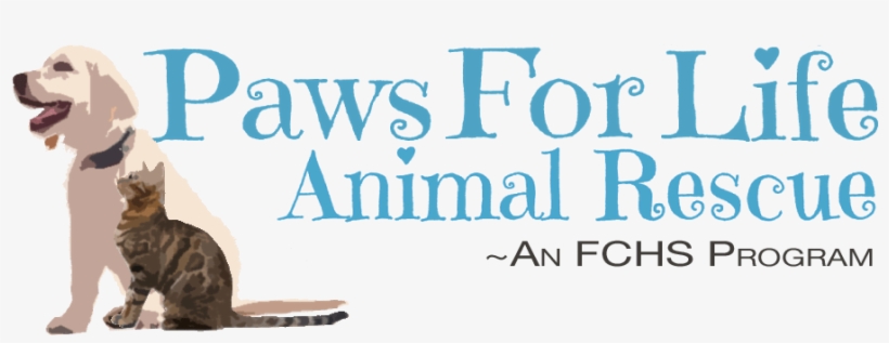 Phasing Out Of Franklin County Humane Society - Paws For Life, transparent png